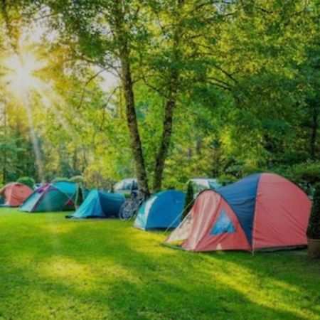 Camping & Biofarm Gjegji Hotel Lezhë Exterior foto