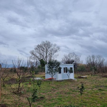 Camping & Biofarm Gjegji Hotel Lezhë Exterior foto