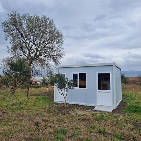 Camping & Biofarm Gjegji Hotel Lezhë Exterior foto