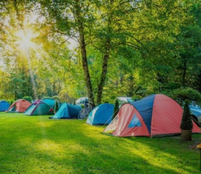 Camping & Biofarm Gjegji Hotel Lezhë Exterior foto